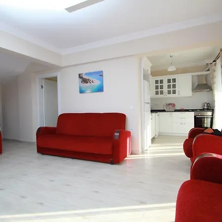 Mutlu Vila *